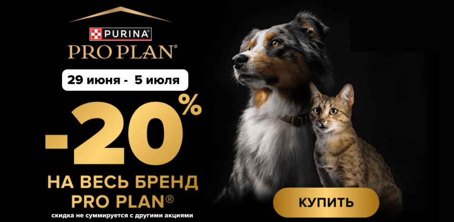 new Про план